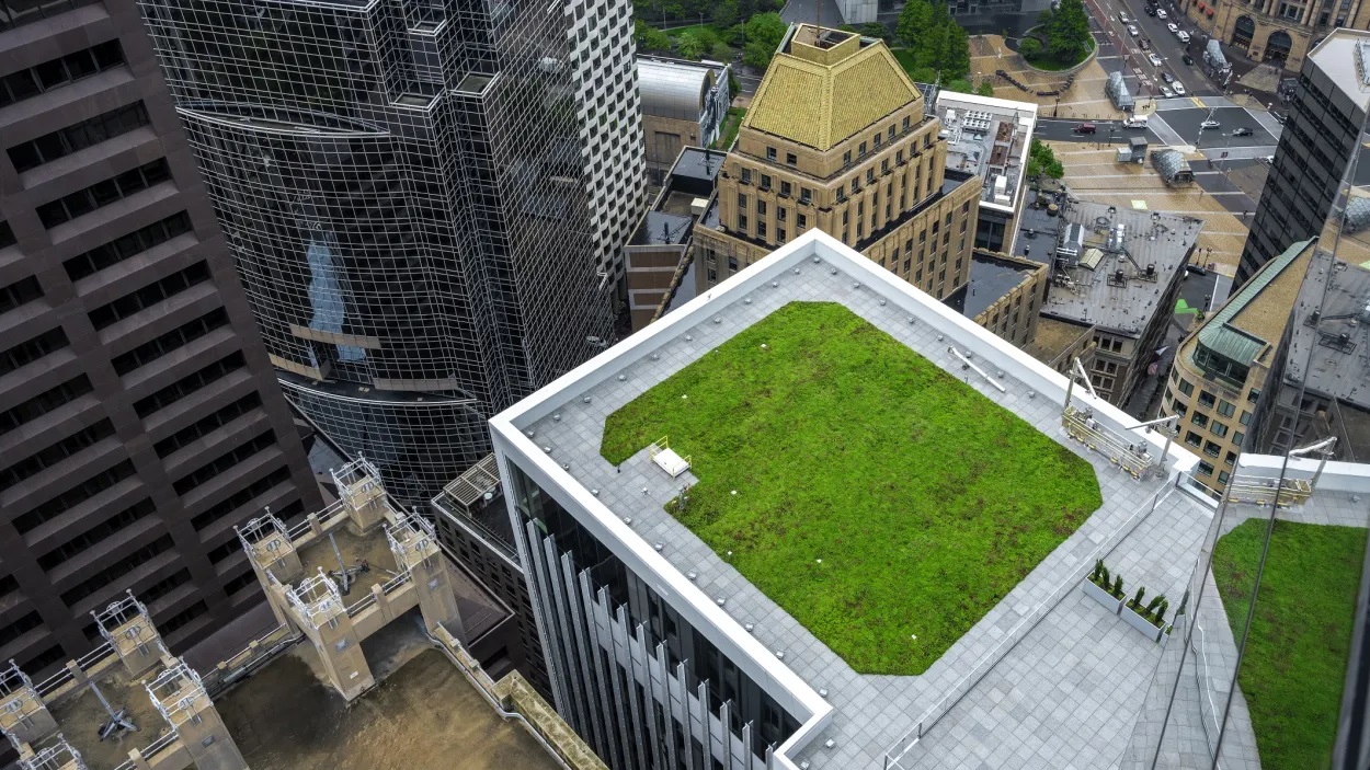 Card Container Image